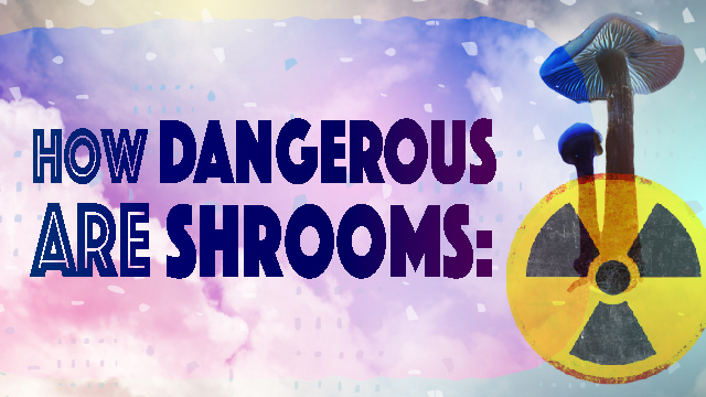 how dangerous are shrooms